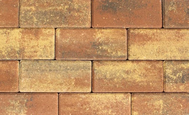 SUNSET / YELLOW / CHOCOLATE 394663