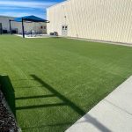 Artificial Turf